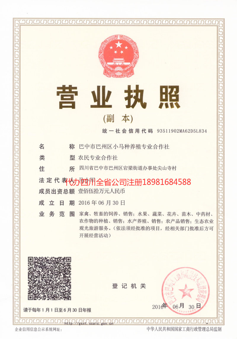 原平原平小马种养殖专业合作社